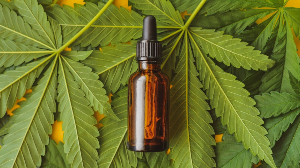 Does CBD Oil Show Up On a Standard Drug Test?